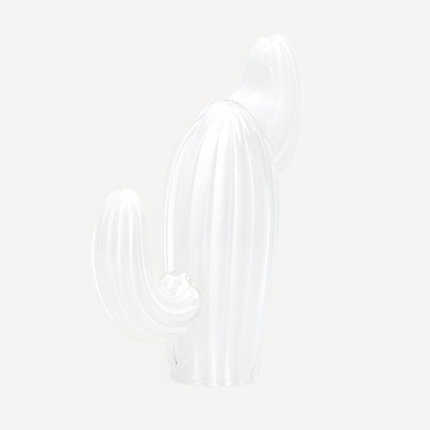 Beyaz Kaktüs Küçük