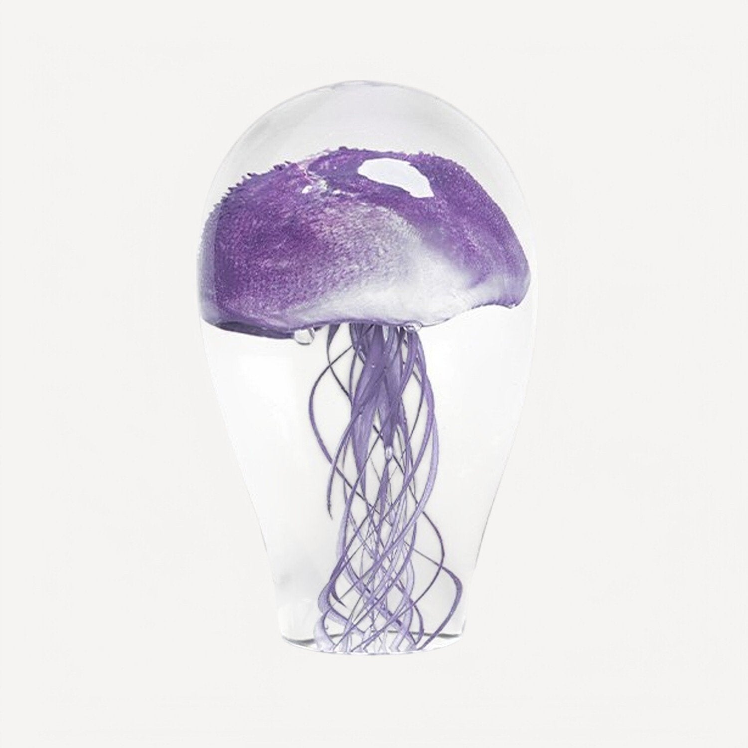 Deniz Anası Lila Büyük